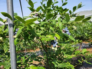 터골농장님의 자유주제 · 자유게시판 작성글 사진