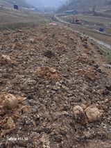 팜모닝 고추·영농일지 게시글 이미지