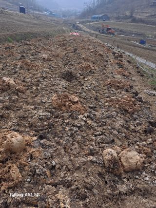 창공 귀농귀촌 초보님의 고추 · 영농일지 작성글 사진