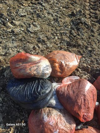 창공 귀농귀촌 초보님의 고추 · 영농일지 작성글 사진