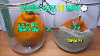 김민식님의 자유주제 · 자유게시판 작성글 사진