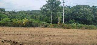 신승철님의 콩 · 영농일지 작성글 사진