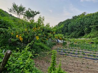 당근한개님의 자유주제 · 자유게시판 작성글 사진