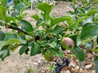 당근한개님의 자유주제 · 자유게시판 작성글 사진