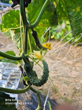 김진님의 자유주제 · 자유게시판 작성글 사진