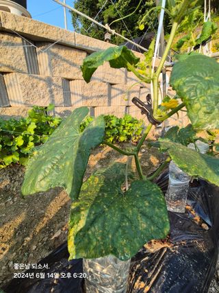 김진님의 자유주제 · 자유게시판 작성글 사진