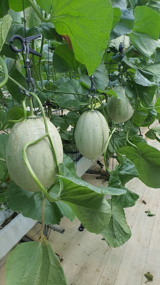 김진왕님의 다시만나 반가워요👋🏻 · 참여글 작성글 사진