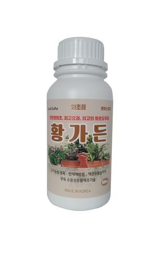 채종원님의 작성글 사진