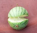 팜모닝 자유주제·자유게시판 게시글 이미지