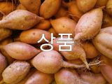 팜모닝 · 게시글 이미지