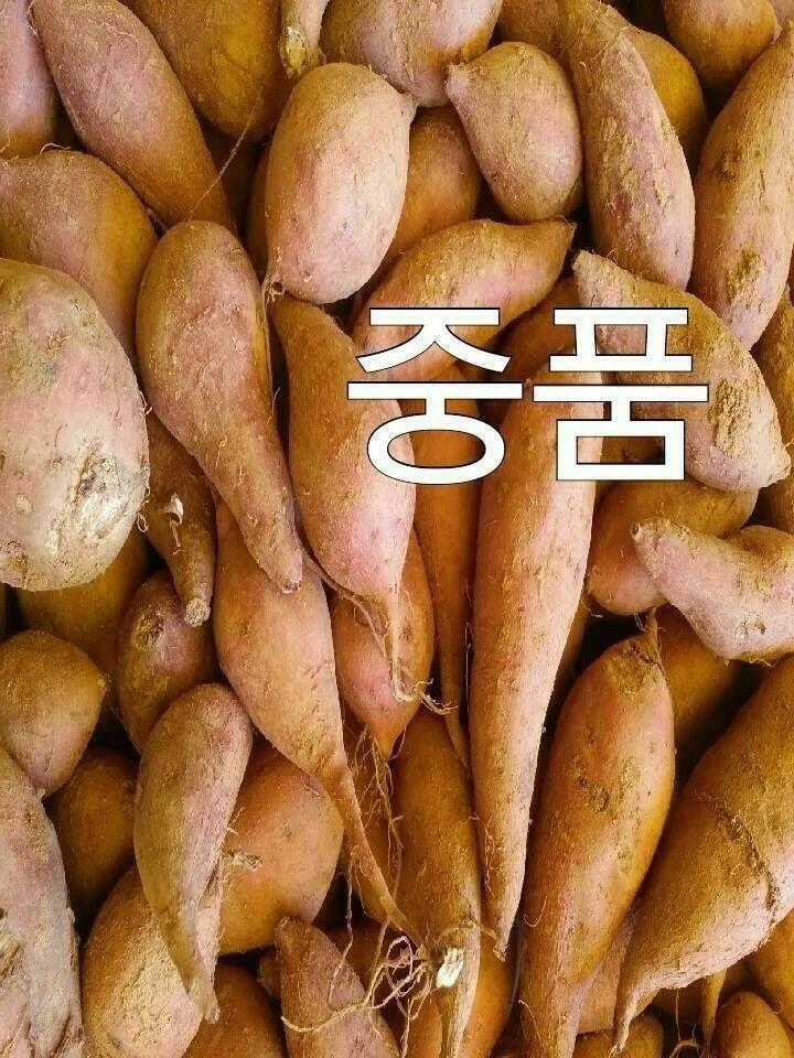 농촌이백억농원^^님의 장터 판매 상품 [호박고구마5kg상품] 첨부 사진