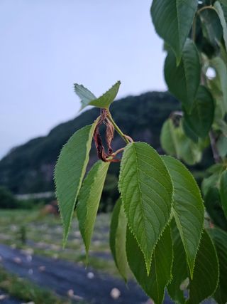 박소원님의 자유주제 · 자유게시판 작성글 사진