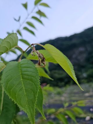 박소원님의 자유주제 · 자유게시판 작성글 사진