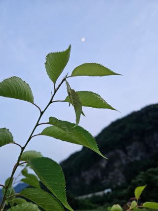 박소원님의 자유주제 · 자유게시판 작성글 사진