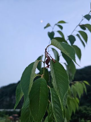 박소원님의 자유주제 · 자유게시판 작성글 사진