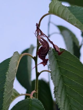 박소원님의 자유주제 · 자유게시판 작성글 사진