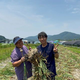 김문권님의 마늘 · 영농일지 작성글 사진