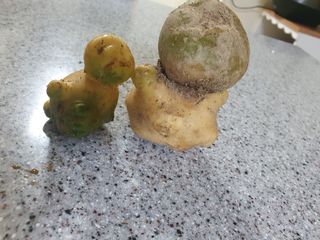 블루베리14534님의 자유주제 · 사진전 작성글 사진