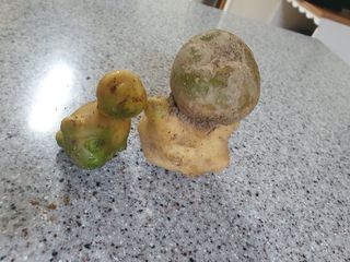 블루베리14534님의 자유주제 · 사진전 작성글 사진