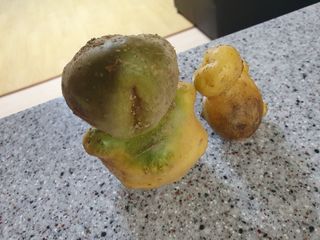 블루베리14534님의 자유주제 · 사진전 작성글 사진