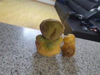 블루베리14534님의 자유주제 · 사진전 작성글 사진