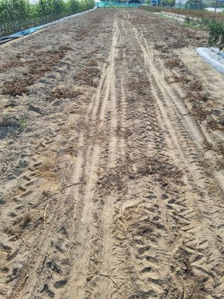 호미대장님의 감자 · 영농일지 작성글 사진