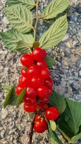 팜모닝 자유주제·자유게시판 게시글 이미지