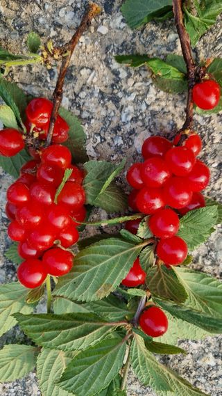 최언봉님의 자유주제 · 자유게시판 작성글 사진