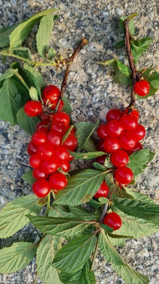 최언봉님의 자유주제 · 자유게시판 작성글 사진