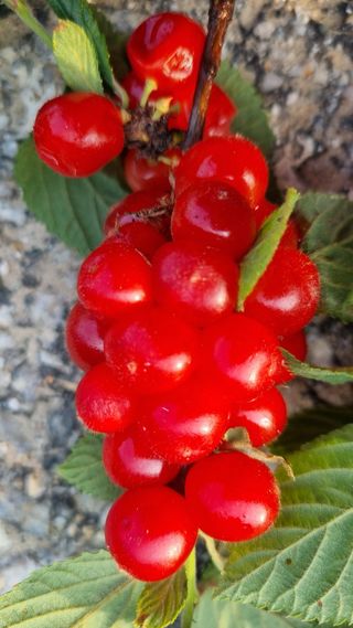 최언봉님의 자유주제 · 자유게시판 작성글 사진