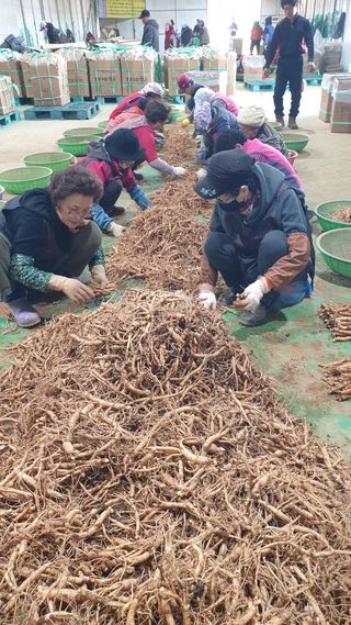 좋은정보감사합니다님의 기타작물 · 영농일지 작성글 사진