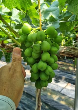 변기천님의 🎤어떤 노래 좋아하세요? · 참여글 작성글 사진