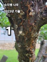 팜모닝 기타작물·병해충상담 게시글 이미지