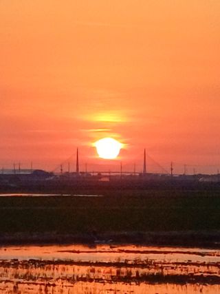 가람님의 자유주제 · 자유게시판 작성글 사진