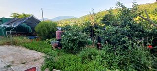 보령 게으른농부님의 자유주제 · 자유게시판 작성글 사진