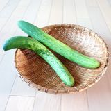 팜모닝 자유주제·자유게시판 게시글 이미지