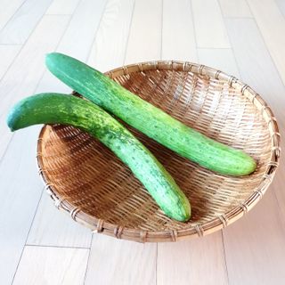 조택준님의 자유주제 · 자유게시판 작성글 사진