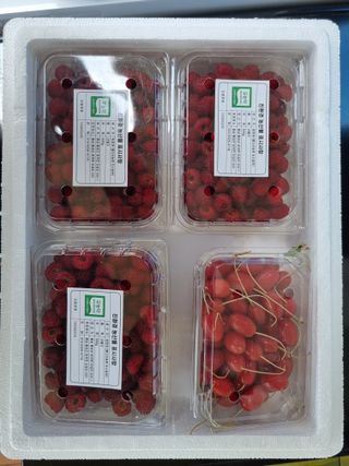 거여농원(방정재)님의 딸기 · 영농일지 작성글 사진