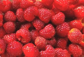 거여농원(방정재)님의 딸기 · 영농일지 작성글 사진