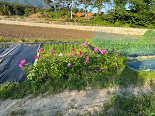 이나영님의 다시만나 반가워요👋🏻 · 참여글 작성글 사진