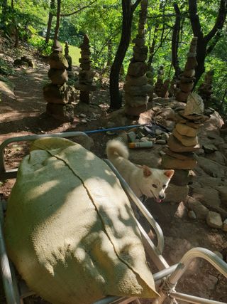 세미골곶감님의 자유주제 · 자유게시판 작성글 사진