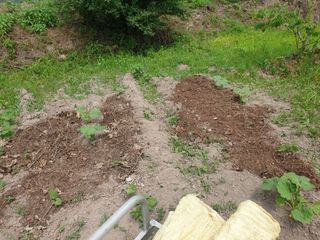 세미골곶감님의 자유주제 · 자유게시판 작성글 사진