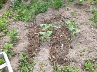 세미골곶감님의 자유주제 · 자유게시판 작성글 사진