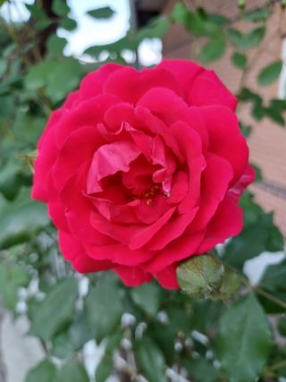 이수명님의 🎤어떤 노래 좋아하세요? · 참여글 작성글 사진