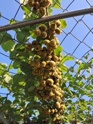 이수명님의 🎤어떤 노래 좋아하세요? · 참여글 작성글 사진