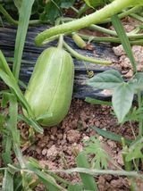 팜모닝 자유주제·자유게시판 게시글 이미지