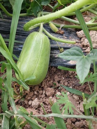 자경님의 자유주제 · 자유게시판 작성글 사진