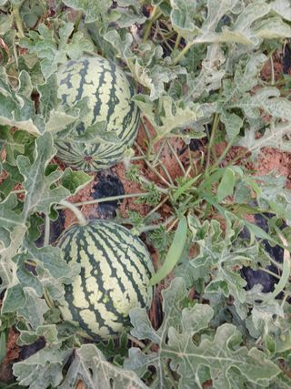 자경님의 자유주제 · 자유게시판 작성글 사진