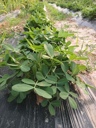 자경님의 자유주제 · 자유게시판 작성글 사진