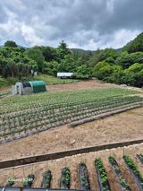 팜모닝 자유주제·자유게시판 게시글 이미지